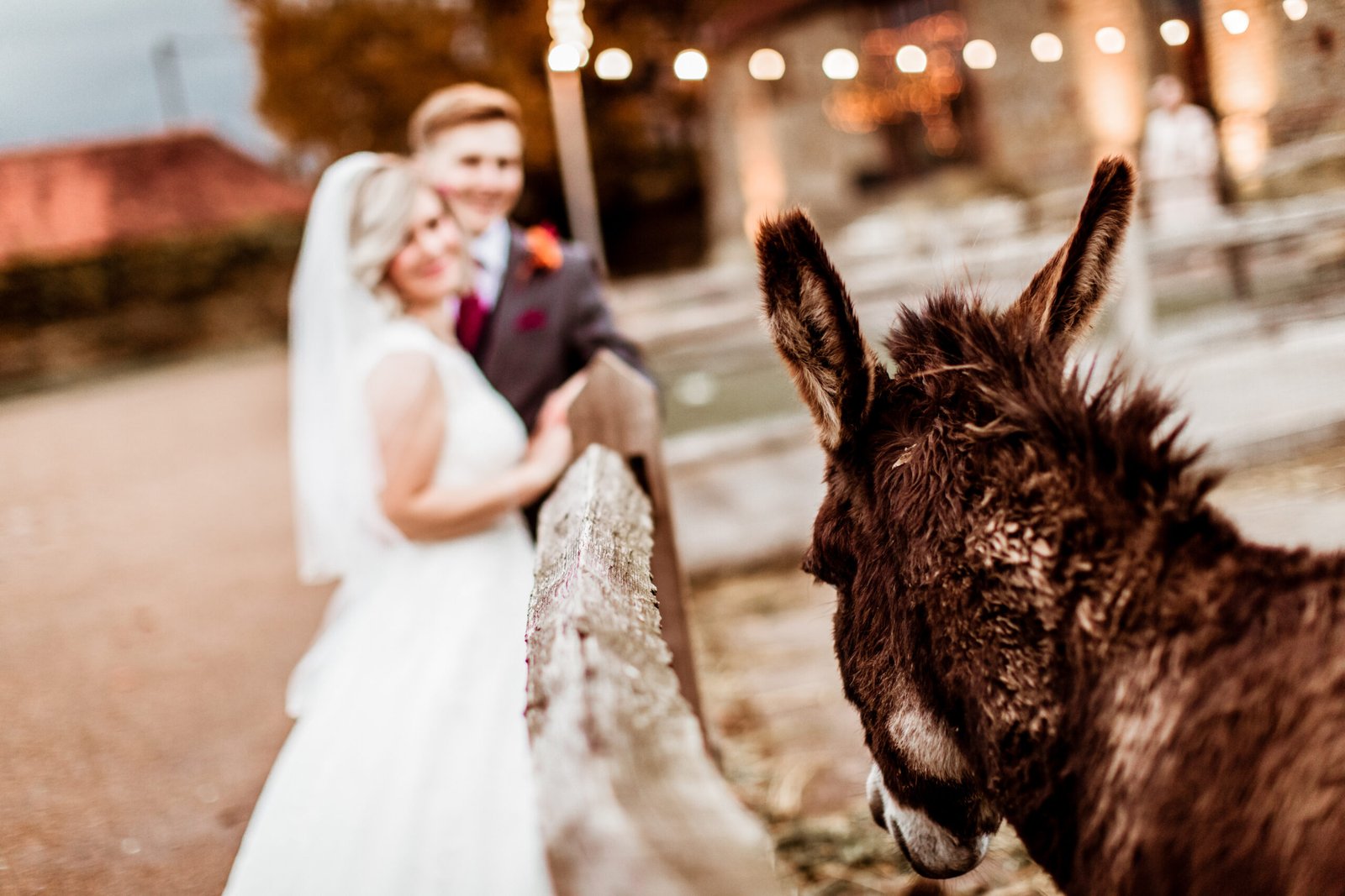 Wedding-photography-tali-uk-sussex-surrey-kent-hampshire-london-boho-natural-best-organic-modern-documentary-film-england-europe-elopements-1097